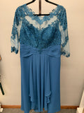 JJs House Size 16 Dress