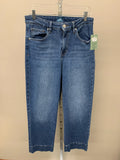 Size 10 Jag Jeans Jeans